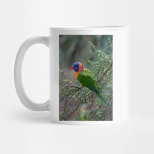 Red Collared Lorikeet Mug